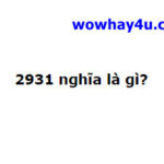 2931 nghĩa là gì? Đọc ngay nhé!