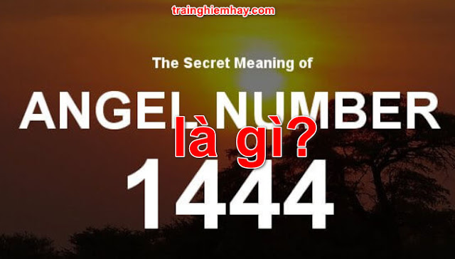 1444 là gì? Ý nghĩa và biểu tượng số 1444 không phải ai cũng biết ...