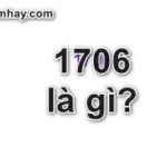 1706 là gì? Mọi thứ về 1706 nhất định bạn chưa biết