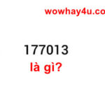 177013 là gì? Bật mí bí mật 177013 chưa ai biết