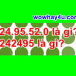 24.24.95.52.0 là gì? 242495 nghĩa là gì? Đọc ngay