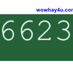266238 là gì? Điều đặc biệt 266238 chưa biết