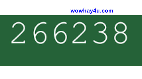 266238 là gì? Điều đặc biệt 266238 chưa biết