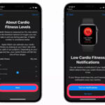 Cách thiết lập Cardio Fitness trên iPhone và Apple Watch nhanh nhất