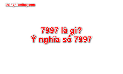 7997 là gì? Ý nghĩa số 7997 nhất định bạn chưa biết