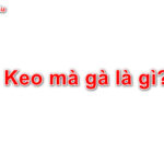 Keo mà gà là gì?