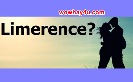 Limerence nghĩa là gì? Sinsoledad là gì? Đúng nhất