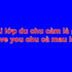 Ai lớp du chu càm là gì? I love you chu cà mau là gì?