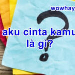 aku cinta kamu là gì? Đọc ngay để biết