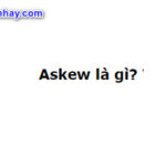 askew là gì? Câu trả lời chính xác nhất