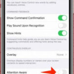 iOS 13: Cách bật điều khiển bằng giọng nói và lí do nhất định phải làm thế