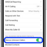 Cách tự động tắt các cuộc gọi không xác định và spam trên iPhone iOS 13