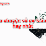 9 câu chuyện về sự kiên trì truyền cảm hứng không bao giờ bỏ cuộc