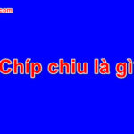 Chíp chiu là gì? Tại sao bạn lại nghe chíp chiu nhiều đến thế?