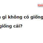 Con gì không có giống đực và giống cái? Đúng nhất nè!