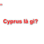 Cyprus là gì? Mọi điều về Cyprus nhất định bạn chưa biết