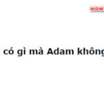 Eva có gì mà Adam không có? Đúng nhất nè!