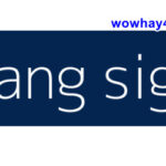 Gang sign là gì? Điều đặc biệt Gang sign chưa ai biết