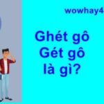 ghét gô là gì? Đọc ngay để biết