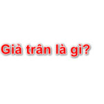 Giả trân là gì? Câu trả lời chính xác nhất nên đọc
