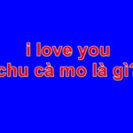 I love you chu cà mo là gì?