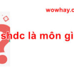 shdc là môn gì? Đúng nhất