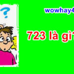 723 là gì? Đừng bỏ qua câu trả lời đúng nhất