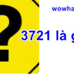 3721 là gì? 1505 là gì? Câu trả lời đúng nhất chưa đọc bao giờ