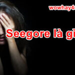 Seegore là gì? Yếu tim đừng đọc nhé