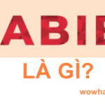 Habibi là gì? Câu trả lời đúng nhất phải đọc