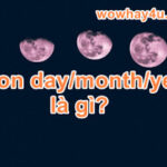 moon day/month/year là gì? Đừng bỏ qua nhé!