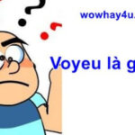 voyeu là gì? Câu trả lời đúng nhất