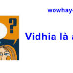 Vidhia là ai? Điều đặc biệt Vidhia chưa ai biết