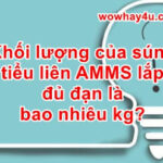 Khối lượng của súng tiểu liên AKMS lắp đủ đạn là bao nhiêu kg?