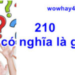 210 có nghĩa là gì? Đọc ngay nhé!