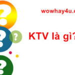 KTV là gì? Câu trả lời đúng nhất