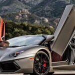 Bò có cánh là gì? Câu trả lời đúng nhất