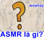 ASMR là gì? Đọc ngay để biết nhé!