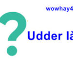 Udder là gì? Không đọc tiếc cả đời