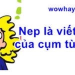 Nep là cụm từ viết tắt của? Đúng nhất