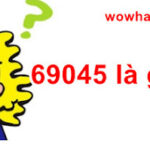 69045 là gì? Bất ngờ với câu trả lời đúng nhất