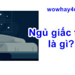 Ngủ giấc tròn là gì? Điều đặc biệt ngủ giấc tròn chưa ai biết