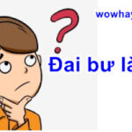 Đai bư là gì? Đọc ngay nhé