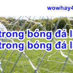 sbt trong bóng đá là gì? pts trong bóng đá là gì?