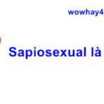 Sapiosexual là gì? Không đọc tiếc lắm đấy