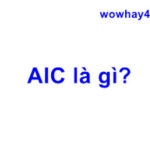 AIC là gì? Đọc ngay nhé
