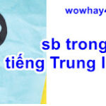 sb trong tiếng Trung là gì? Đúng nhất