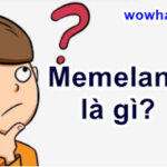 Memeland là gì? Câu trả lời đúng nhất