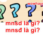 mnsd là gì? mnsđ là gì? Đúng nhất