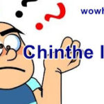 Chinthe là gì? Điều đặc biệt chinthe bạn chưa biết